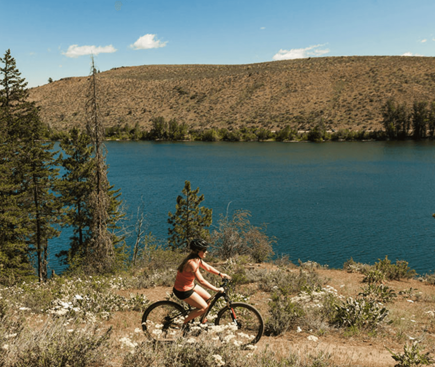 Full Day Hardtail Bike Rental at Sun Mountain Lodge