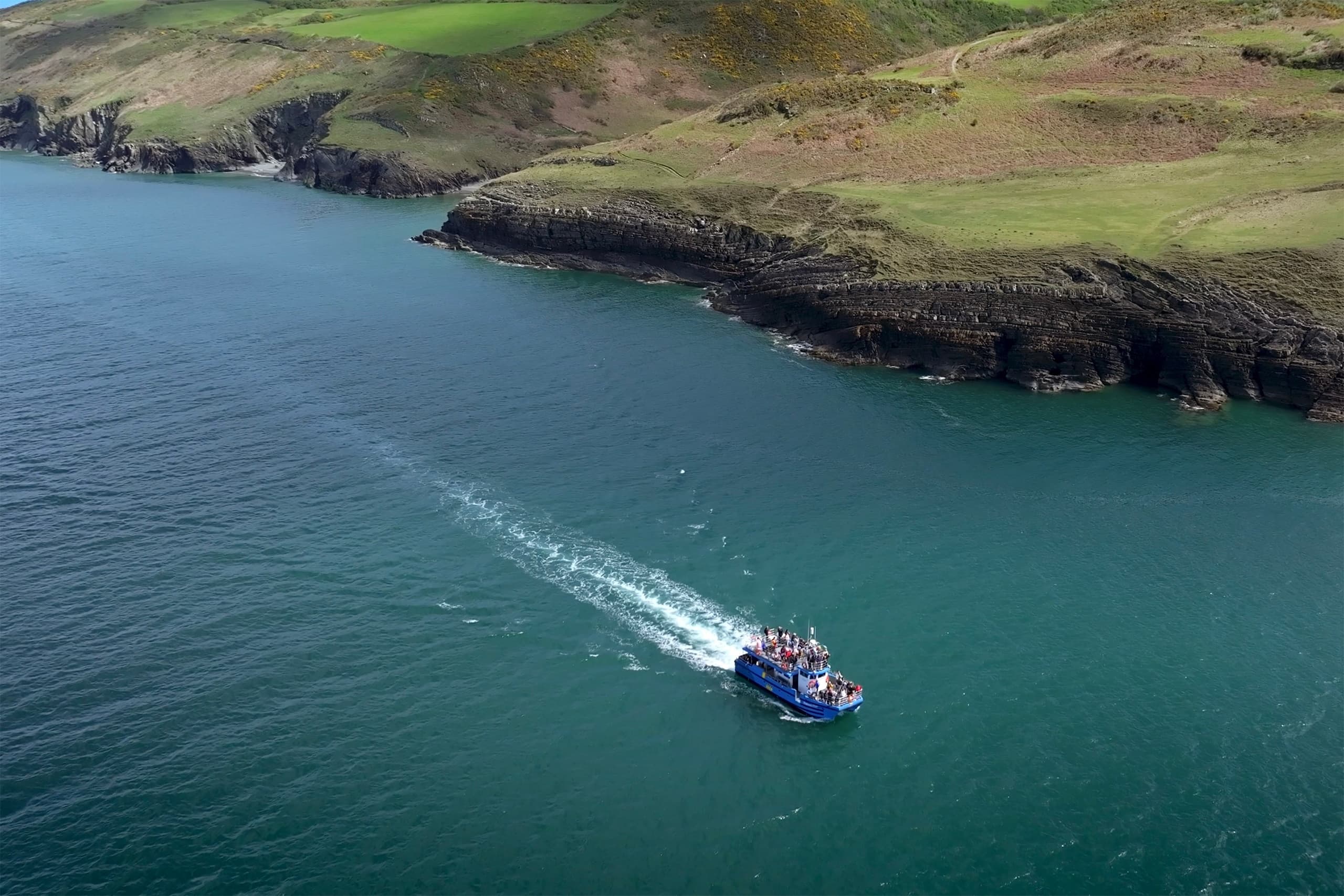 Water Activities: Island Exploration with New Quay Boat Trips