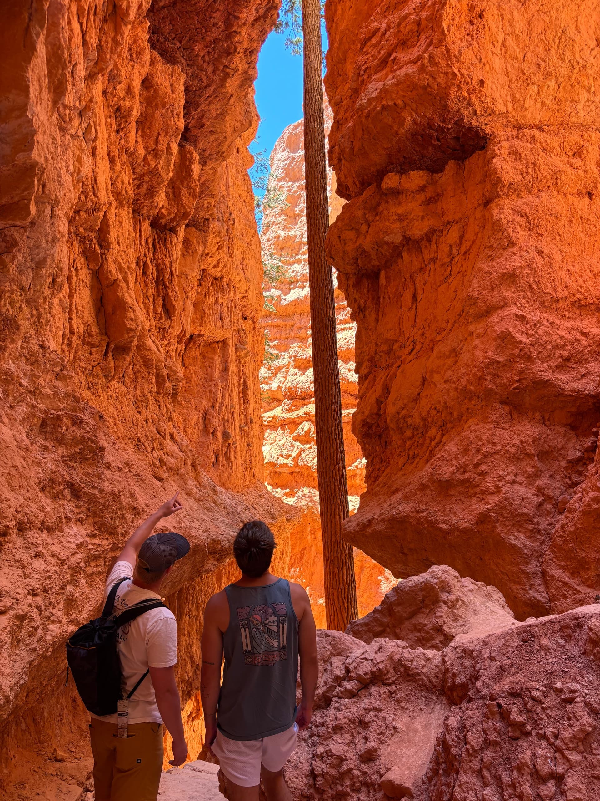 Private Hike the Hoodoos in Bryce Canyon: A Local Guide Experience photo 2