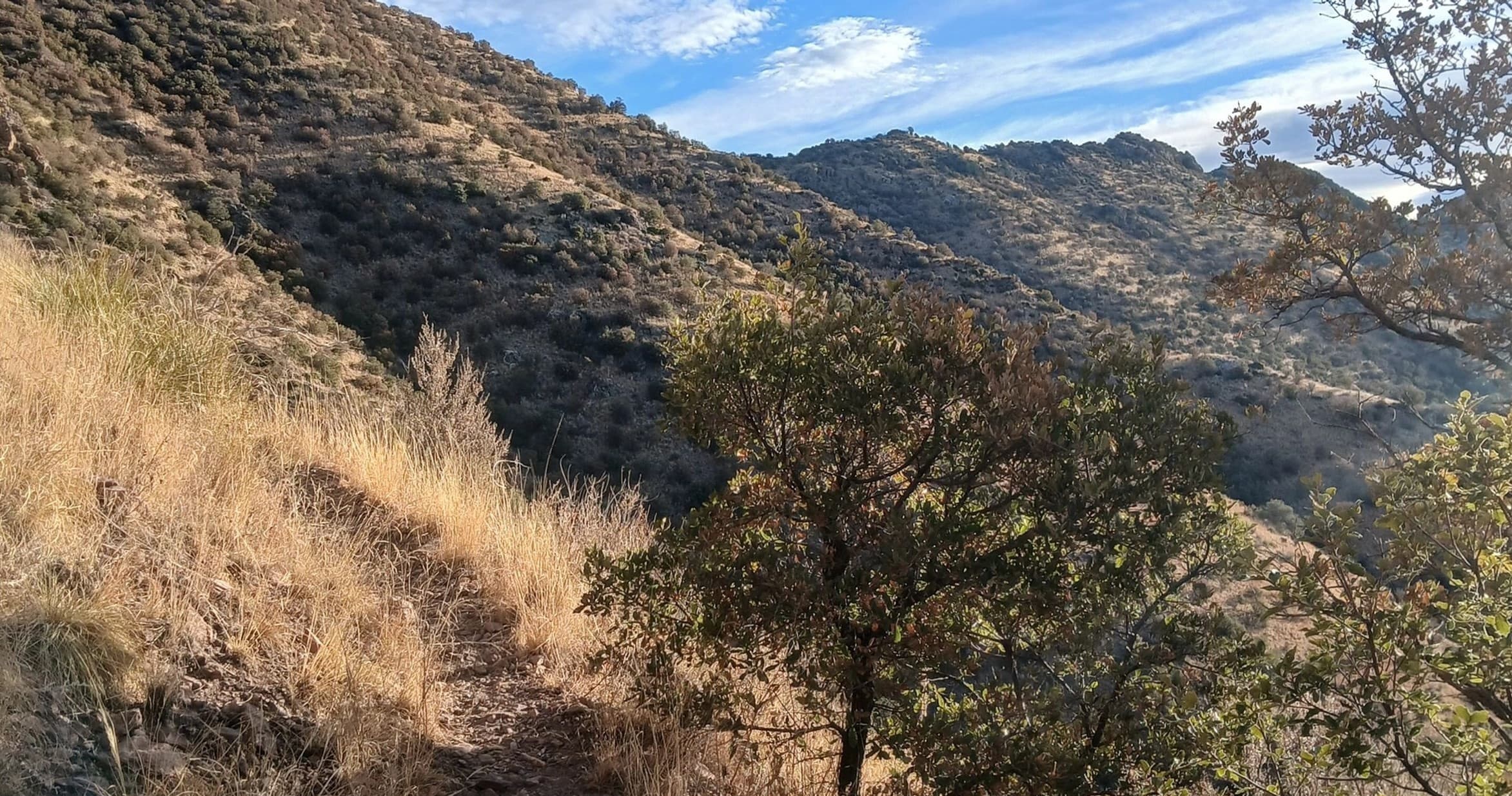 Explore Arizona's Crest Trail: From Monument Pass to Miller Peak Adventure