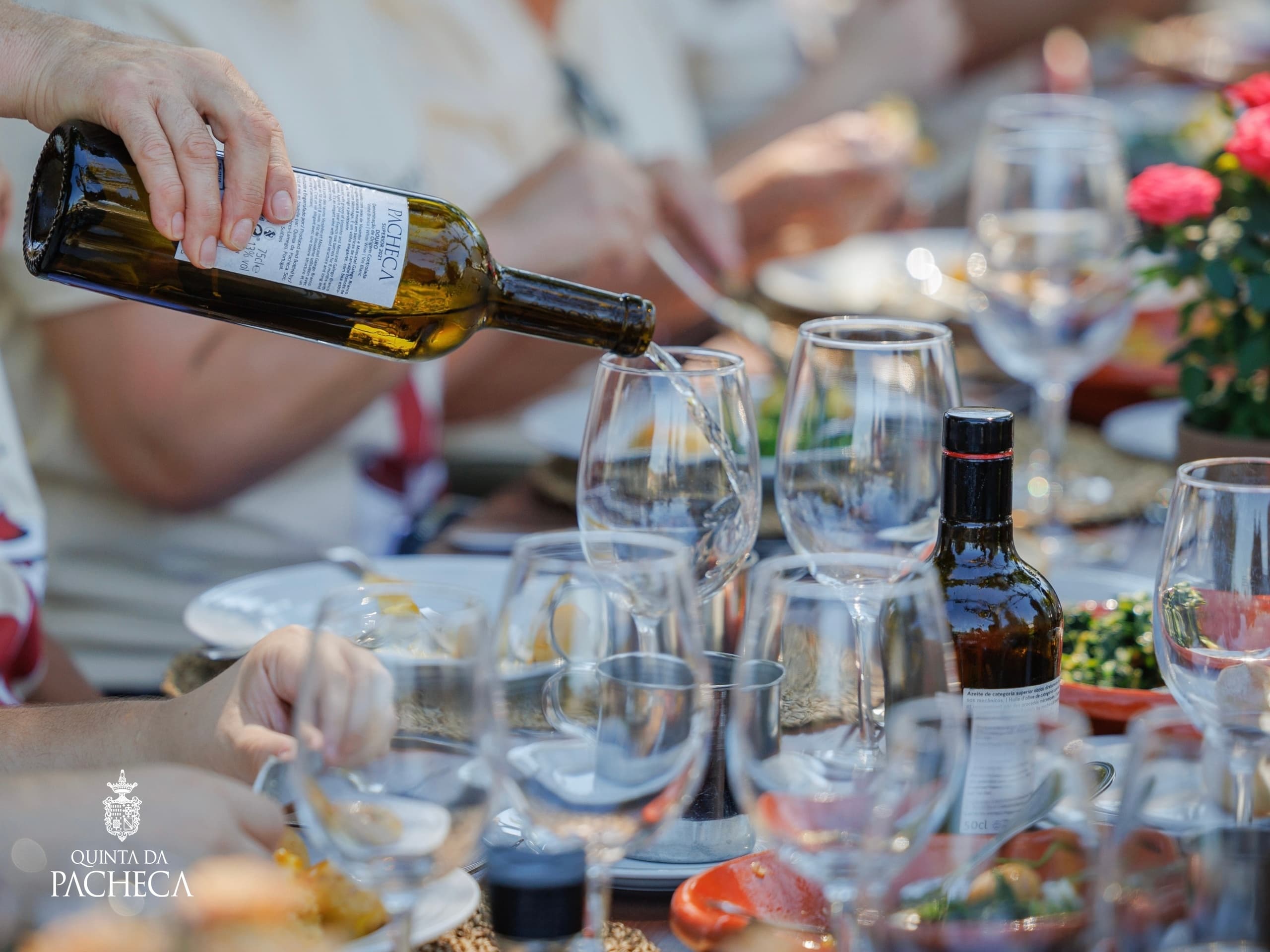 Wine & Land Adventures at Quinta da Pacheca