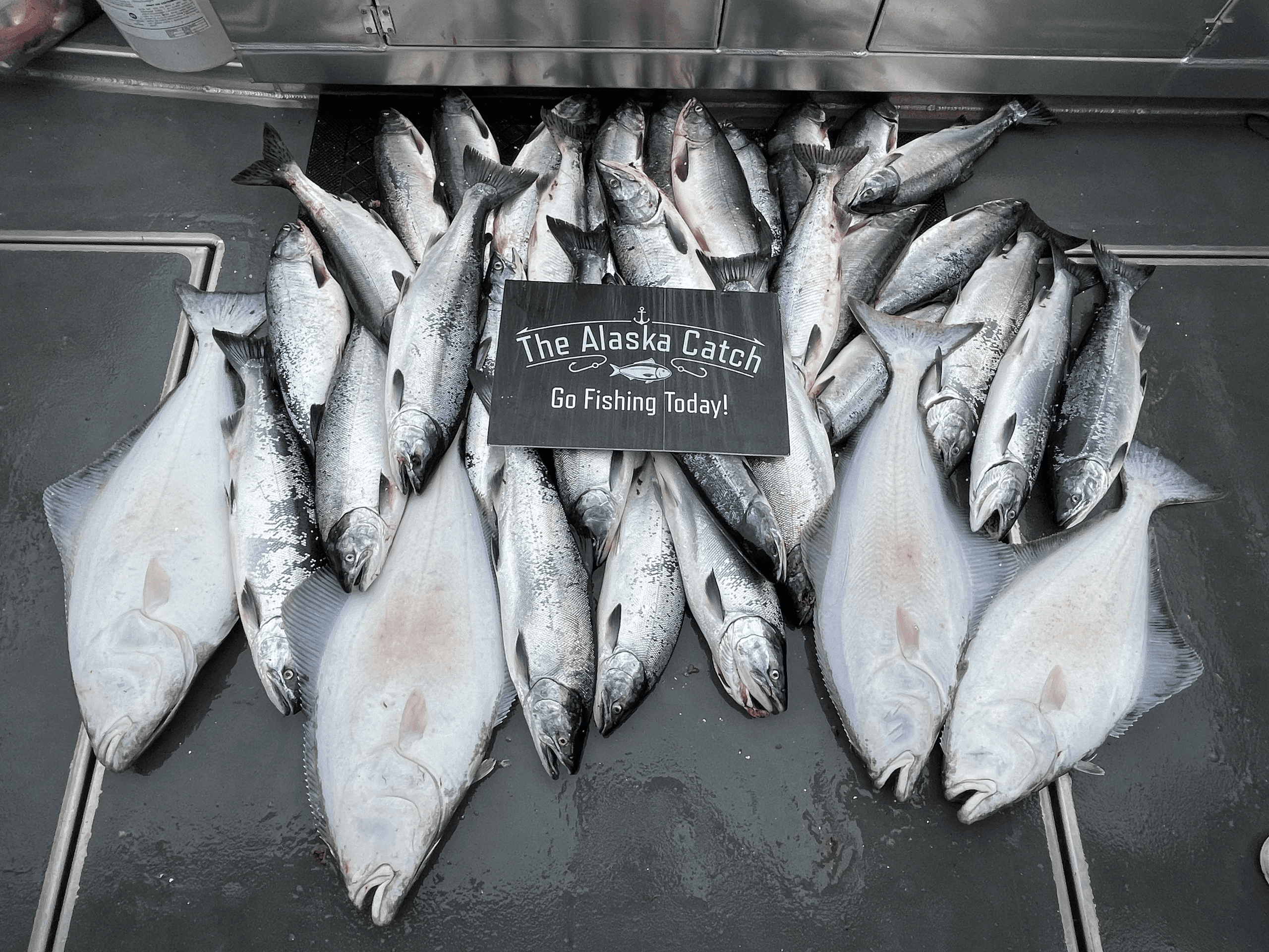 Alaska Fishing with The Alaska Catch in Ketchikan