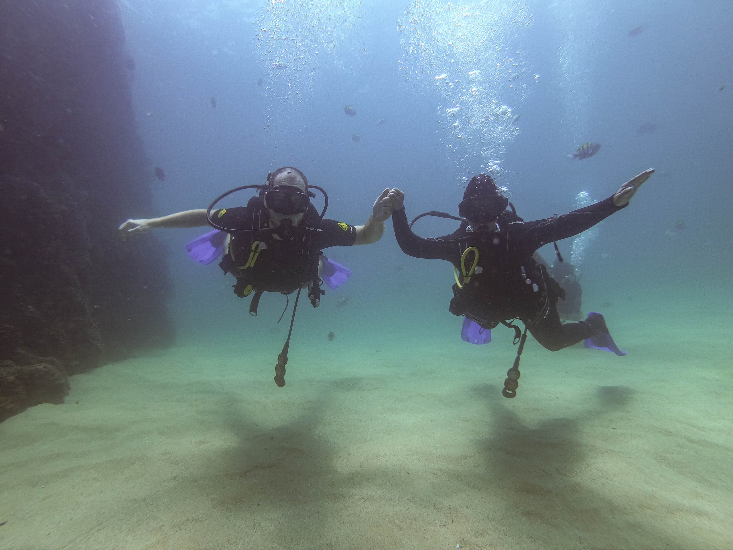 Discover Scuba Diving in Cabo: Intro Course to El Arco, Sea Lions & Reefs photo 1