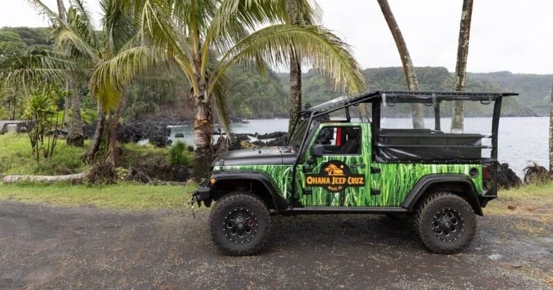 Open-top jeep exploring tropical coastline with palm trees