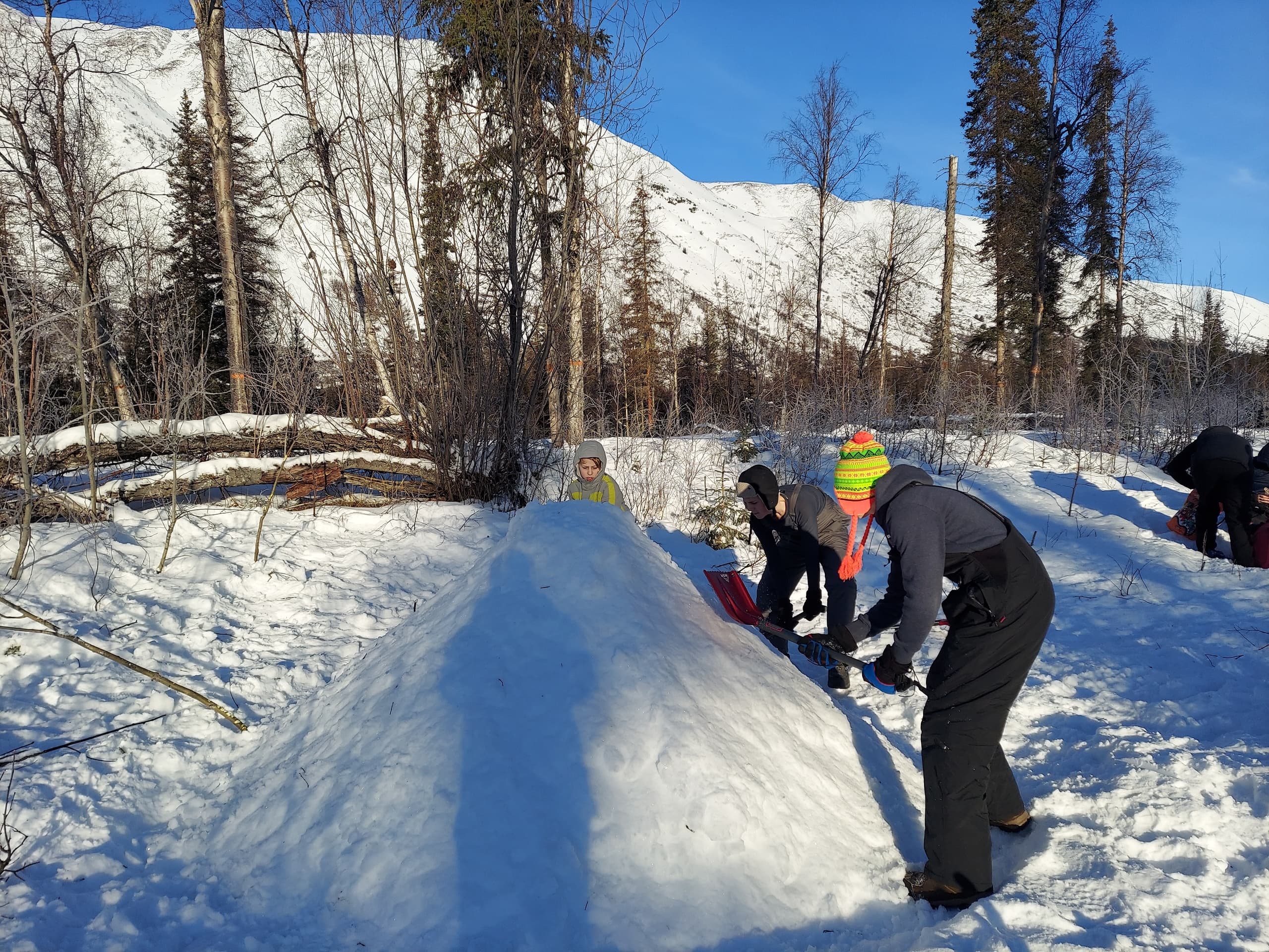 SnowSchool Field Trip for Homeschoolers: Hands-On Snow Science in Southcentral Alaska photo 2