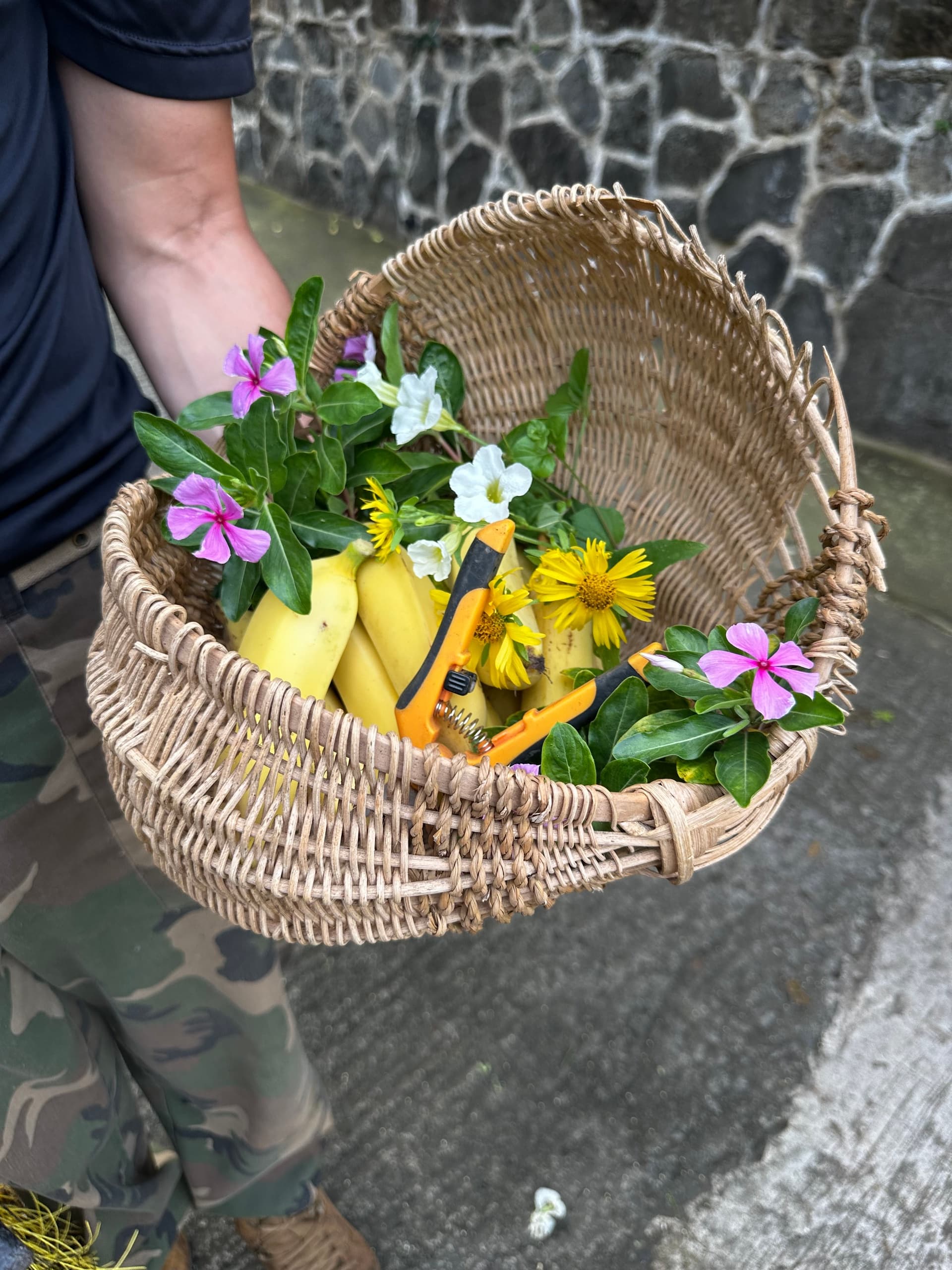 Land Adventures with Sun Farm Hawaii in Oahu