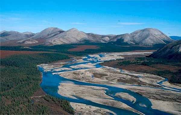 Call of the Wild: Alaska Series in Saxapahaw, NC
