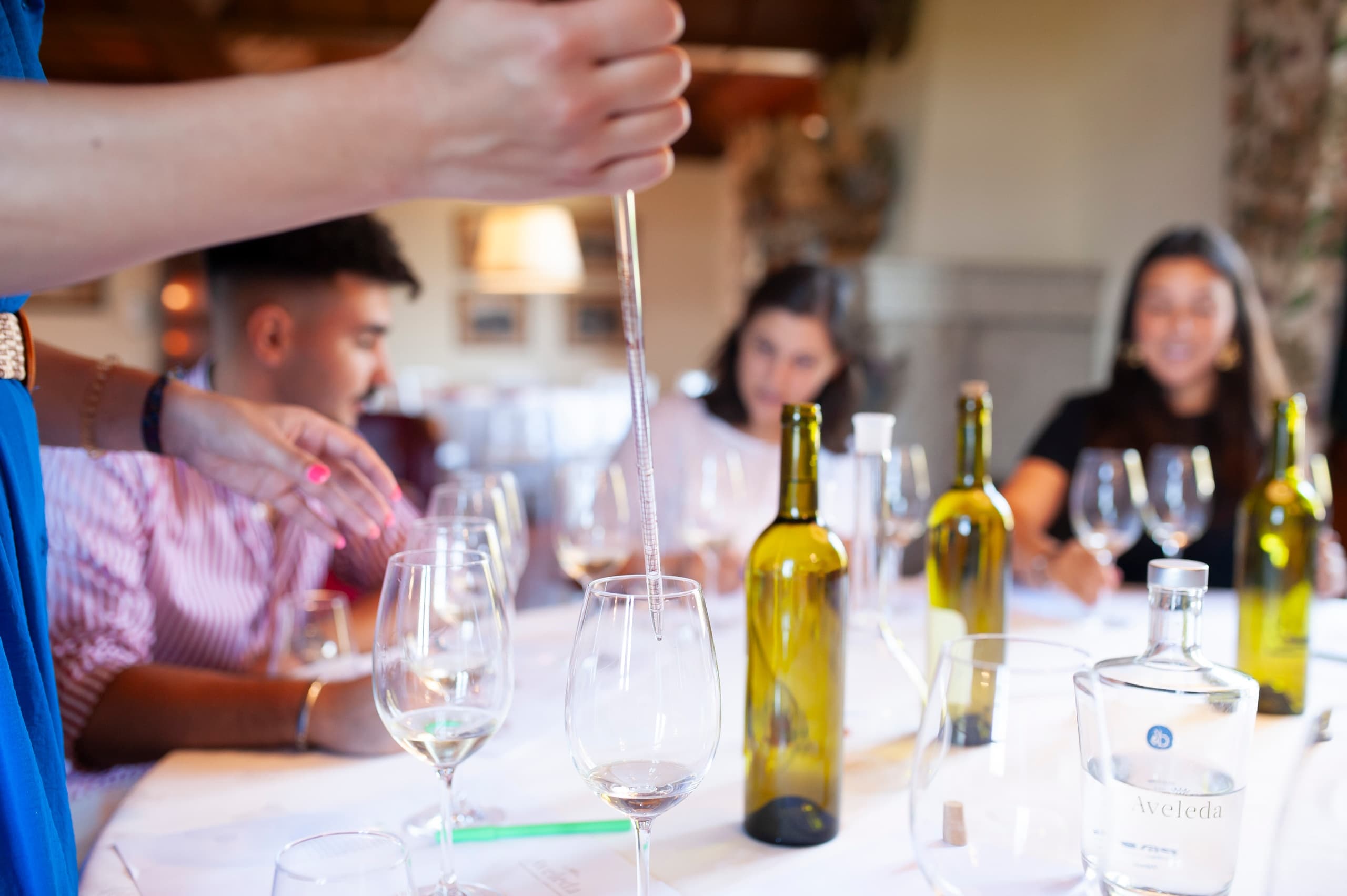 Wine Tasting & Crafting at Quinta da Aveleda