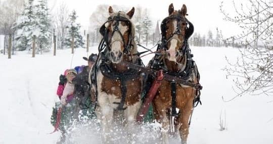 Sleigh Ride Adventures with Sunrise Pack Station in Bozeman