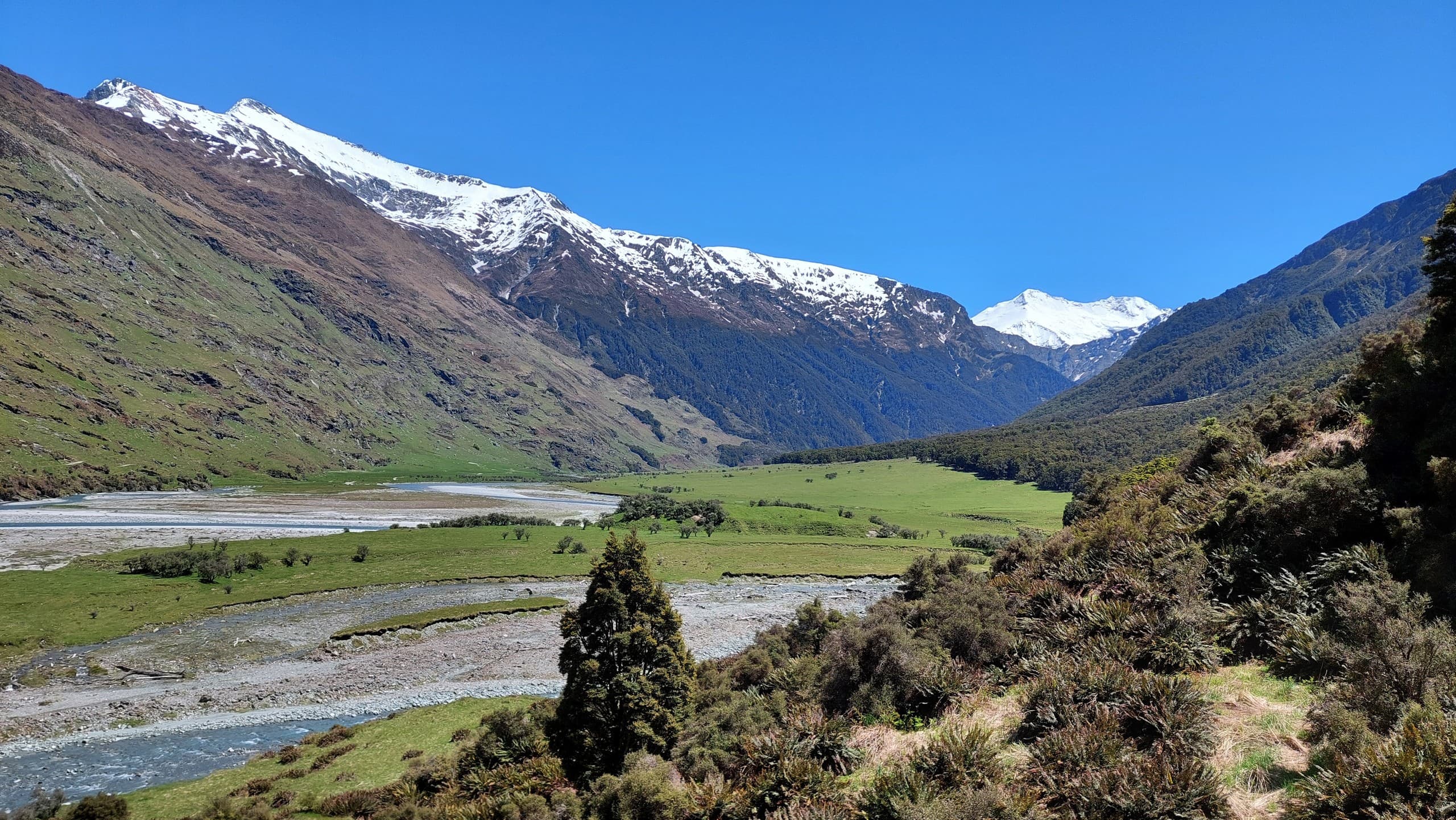 Rob Roy Glacier Day Walk: Guided Matukituki Valley Hike from Queenstown photo 4