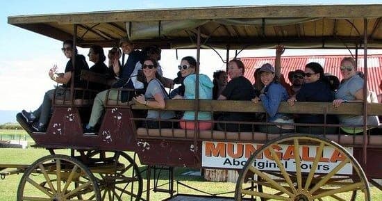 Covered wagon heritage tour with passengers on Mungalla grounds