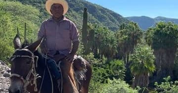 Mule Trekking With Rancheros | Guided Tour in Loreto | Hiking, Attraction, Eco Tour