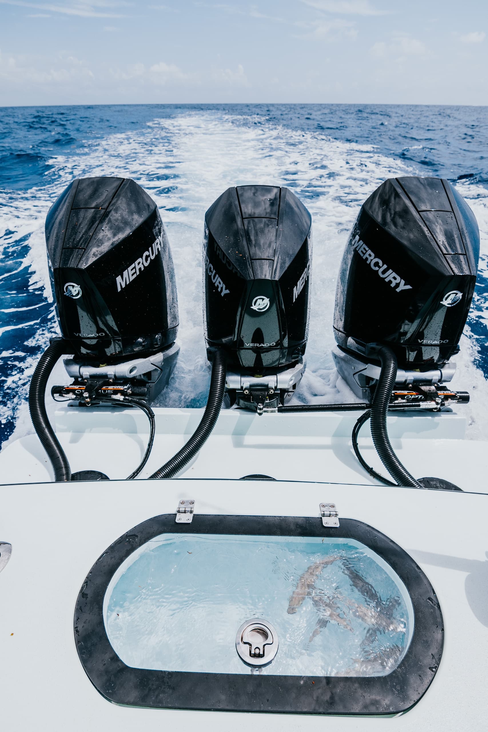 Conch 33: Five-Hour Private Fishing Charter with Captain Mike in Fort Lauderdale photo 2