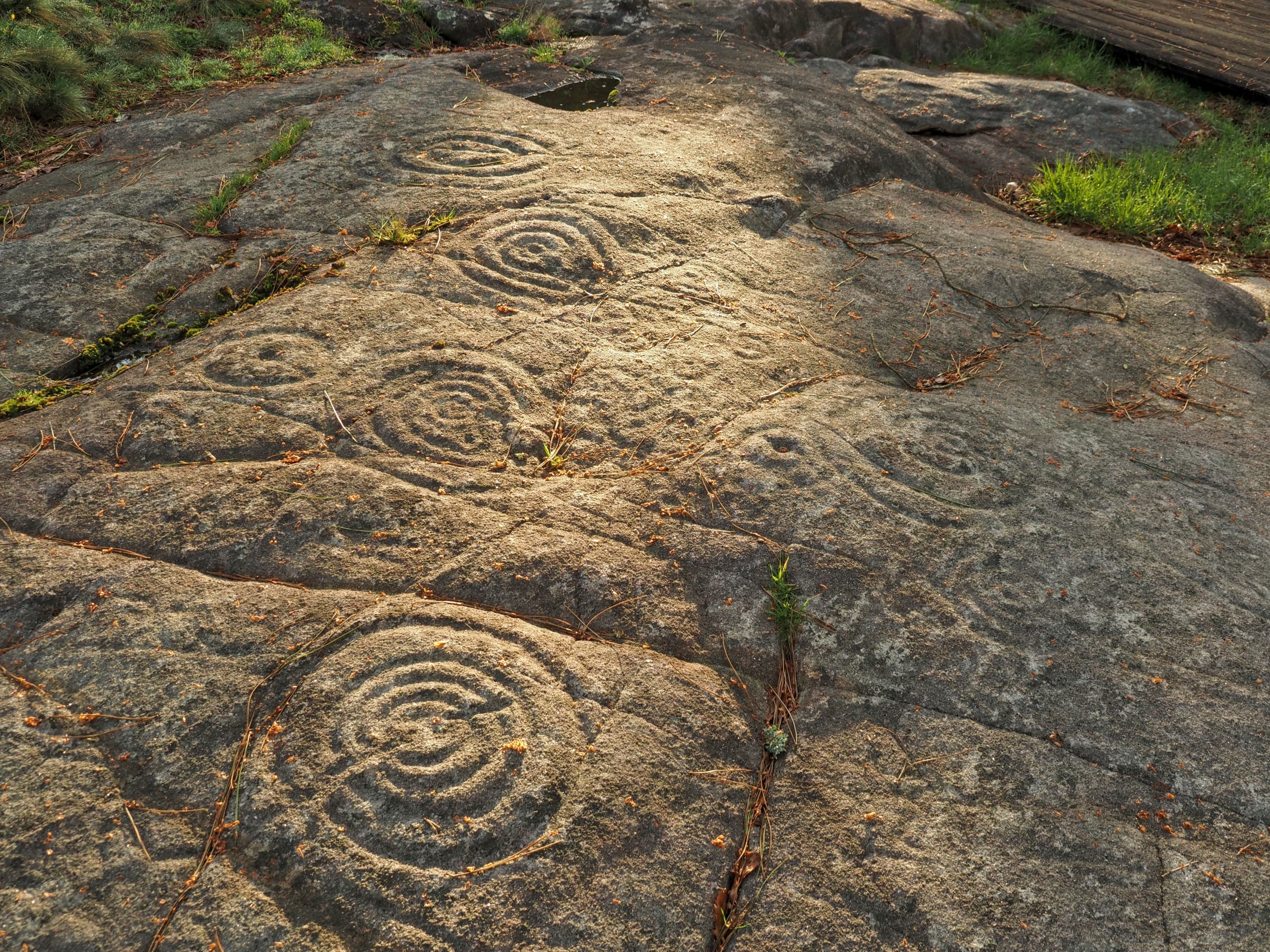 Sunset Petroglyph Tour at Parque Arqueolóxico da Arte Rupestre