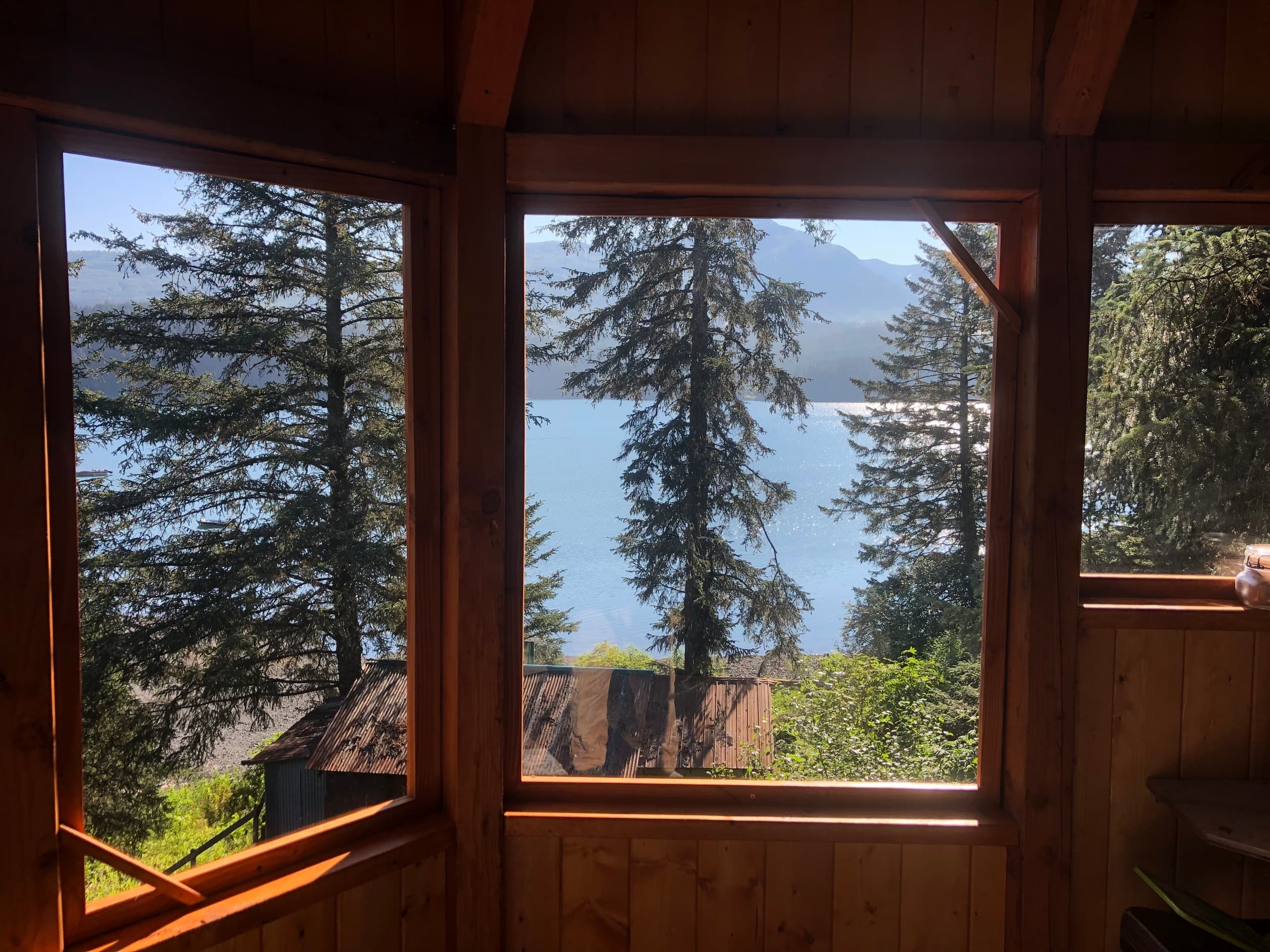 Cabin window view overlooking spruce trees and Seldovia Bay waters