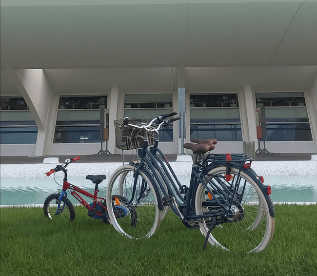 Bike Rental in Valencia with Sun and Bikes Valencia