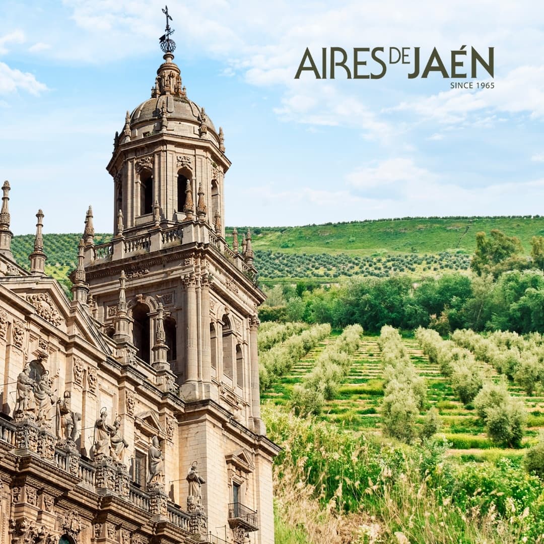 Olive Oil Tasting & Cultural Tour in Jaén by Oleocultural Jaén