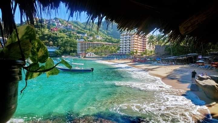 Tropical palm-fringed lagoon with clear emerald water
