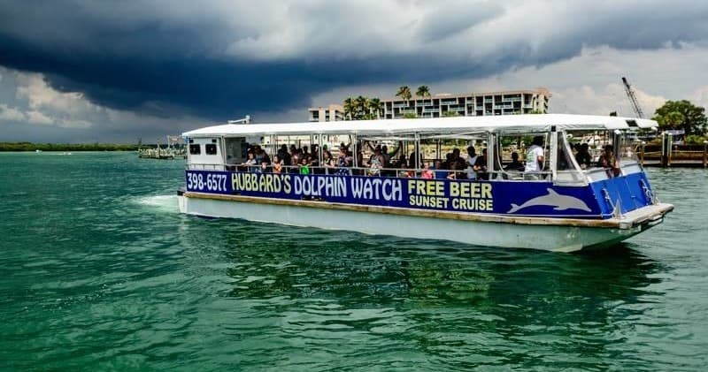 Dolphin watch tour boat cruising near palm-lined harbor