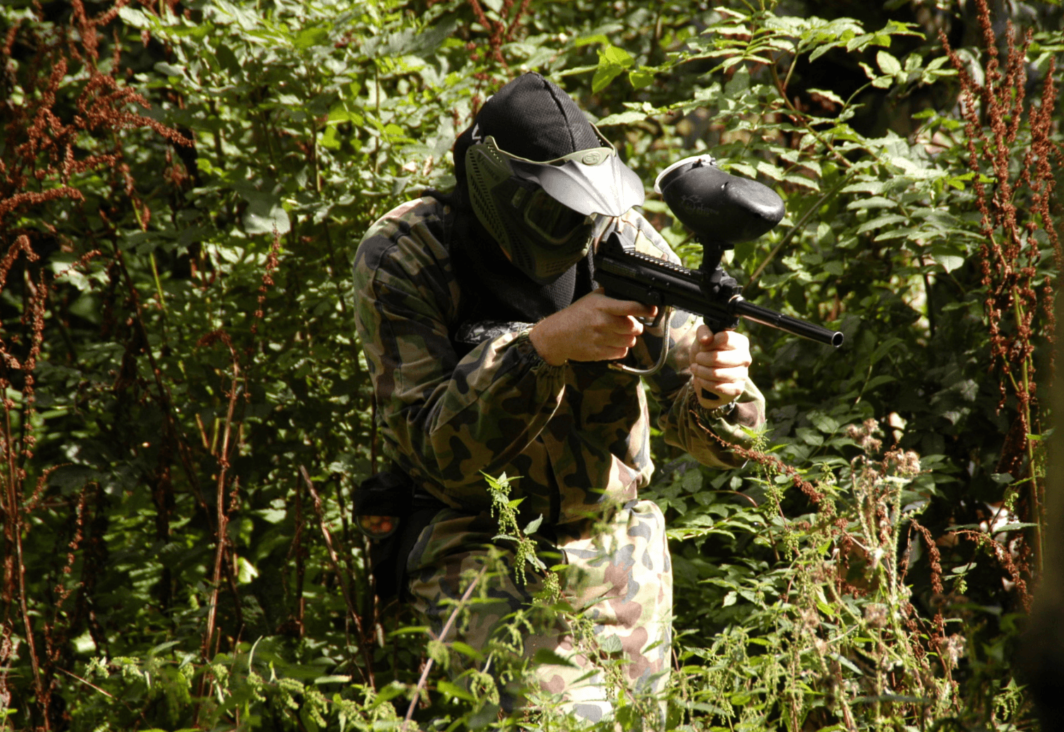Woodland paintball team advancing through leafy forest obstacles