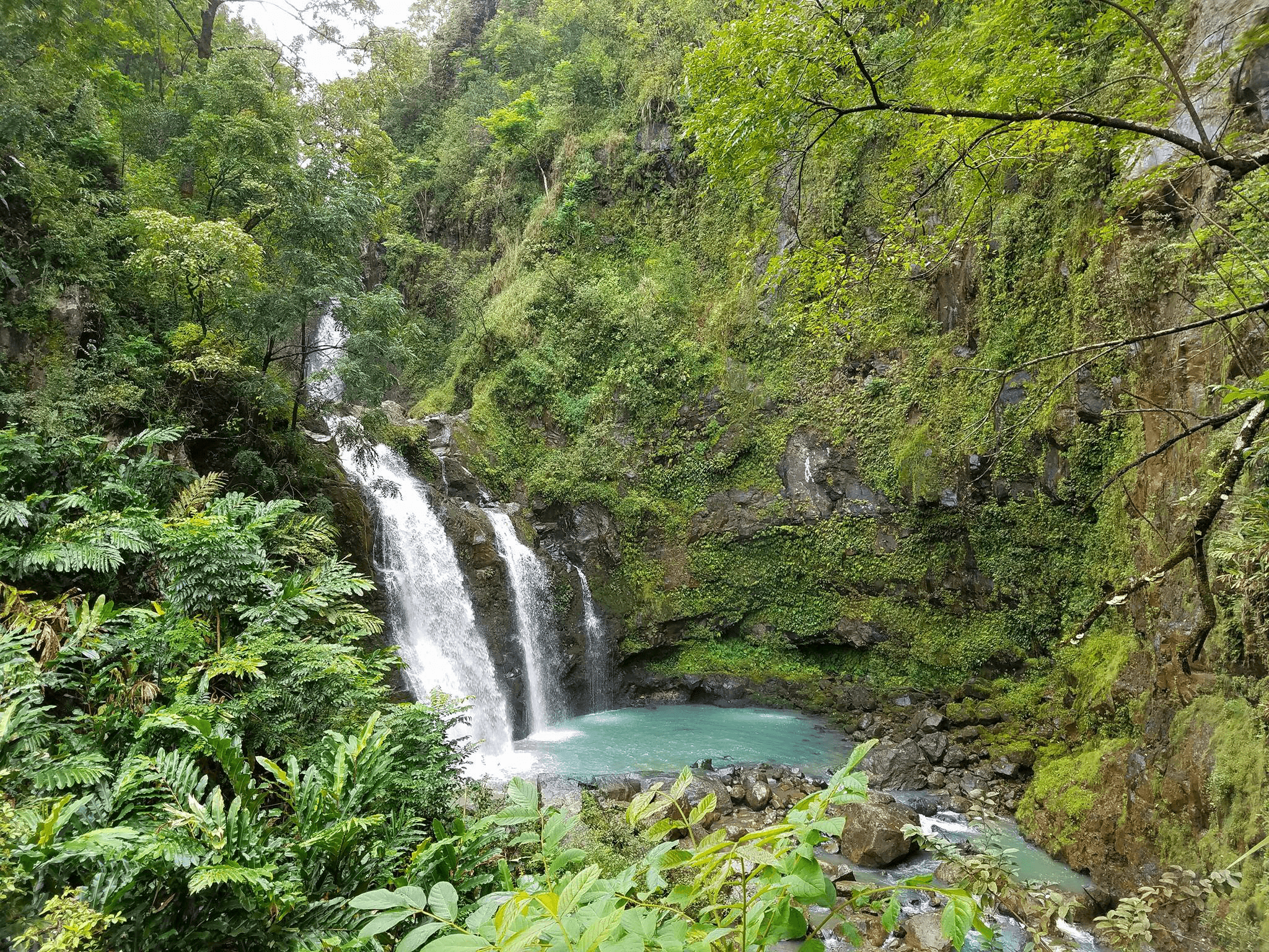 Explore the Road to Hana Halfway Tour in Lahaina, Hawaii