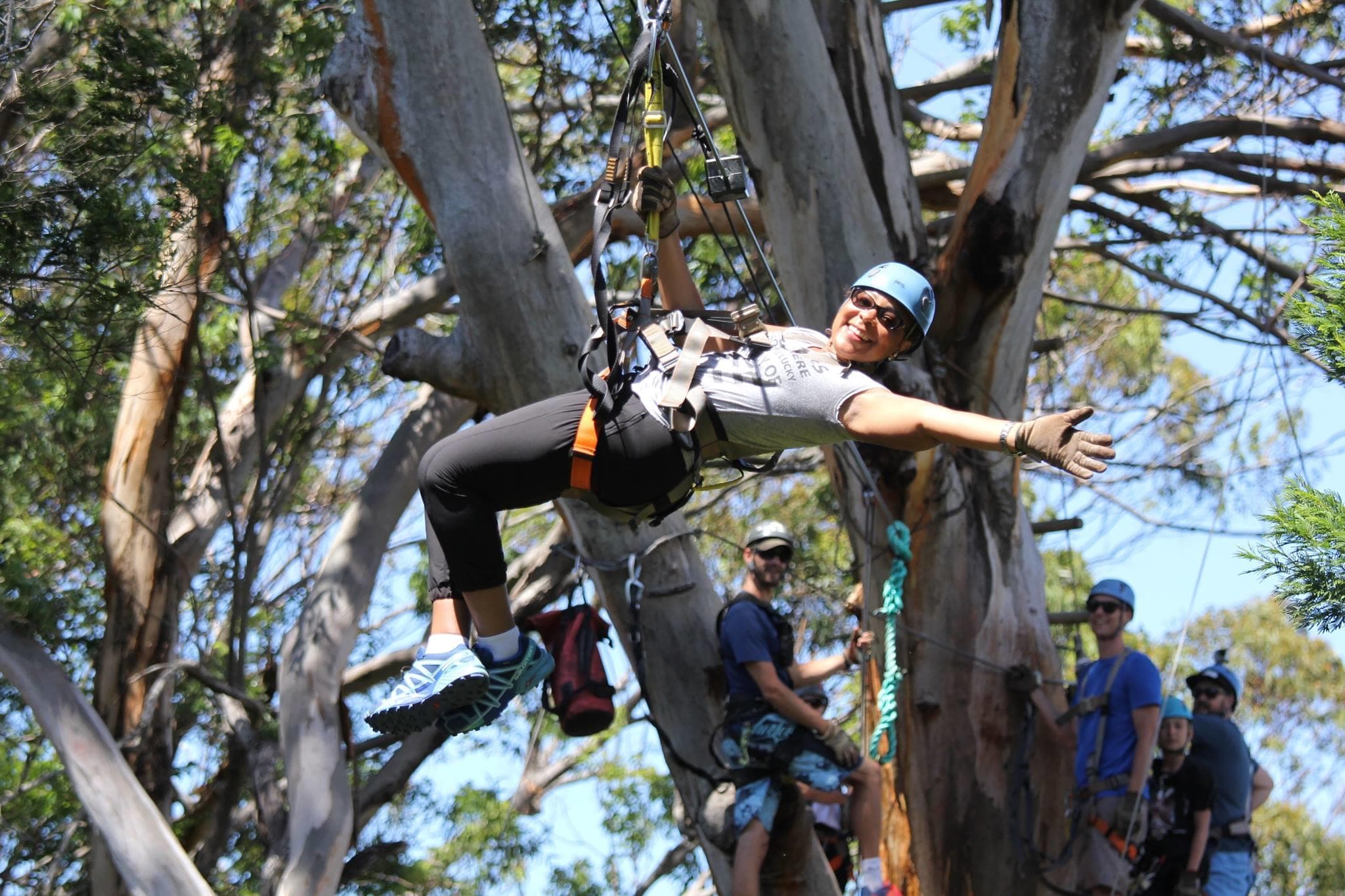 Participant suspended on zipline among eucalyptus trees