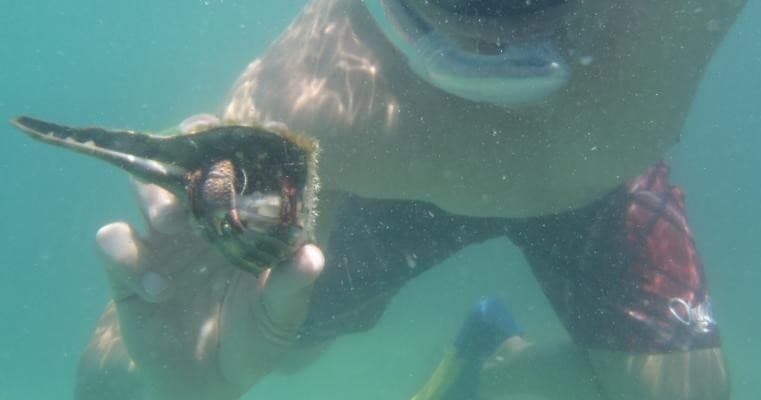 Private Shell Key Sandbar Sunset Cruise — Gulfport BYOB Boat Tour