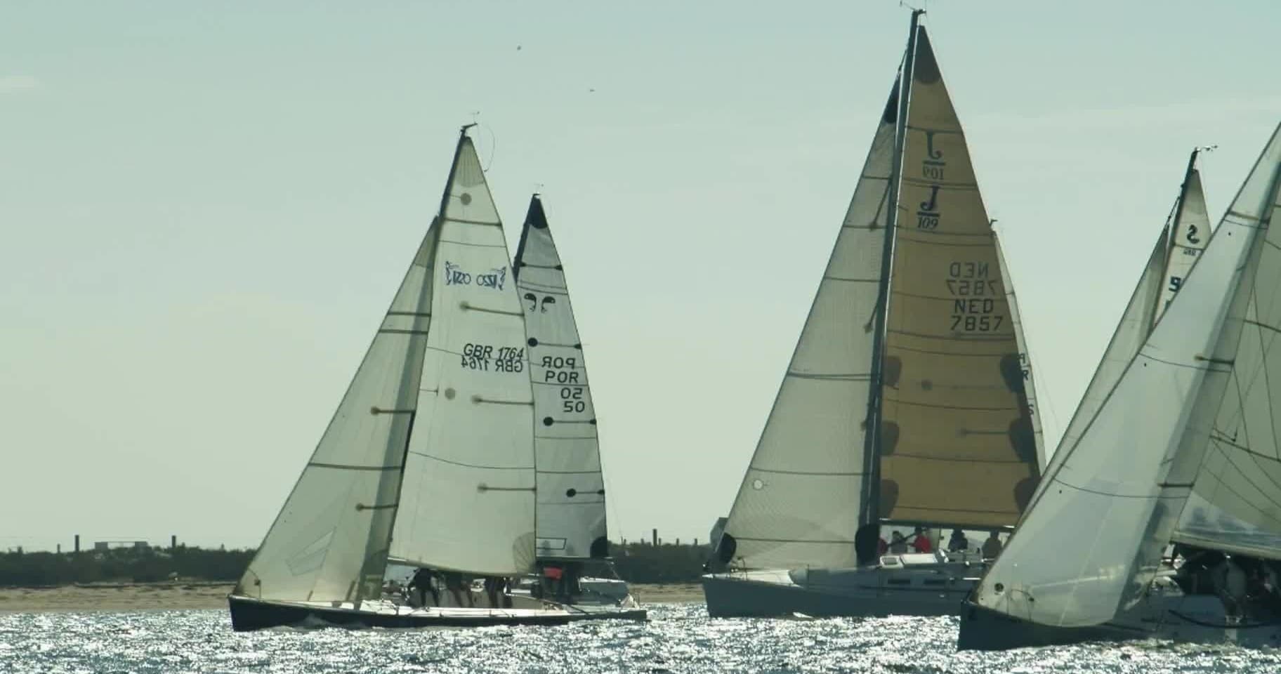 Sailboats racing on sunlit coastal waters, open sea regatta