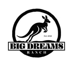 Evening with Capybaras, Kangaroos and Permanent Jewelry in Ira Township photo 1