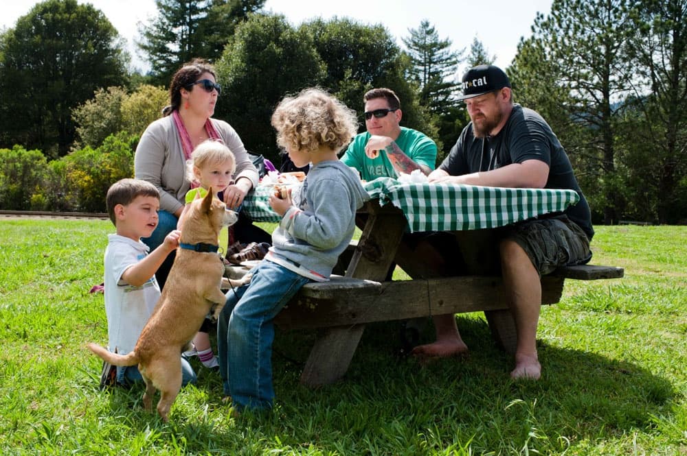 Unforgettable Picnic Basket Experiences in Felton, California