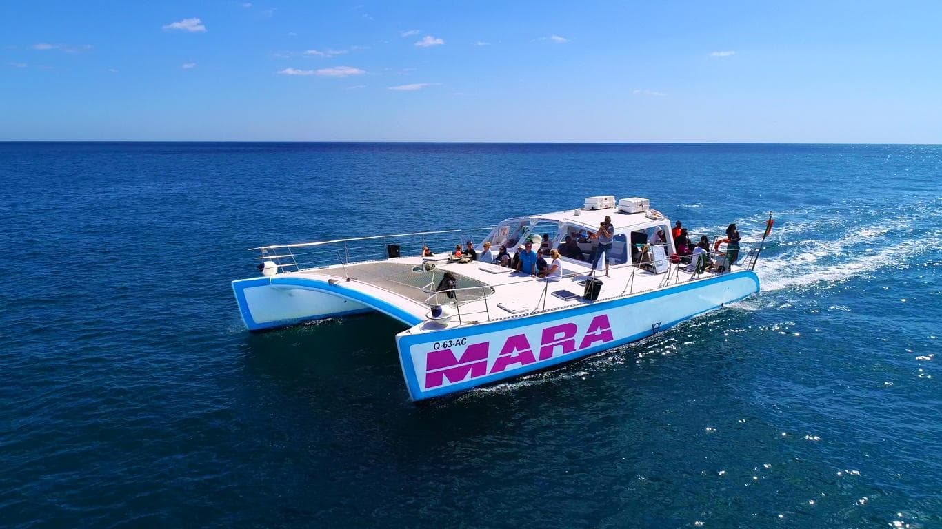 Catamaran tour cruising Algarve coast near limestone cliffs