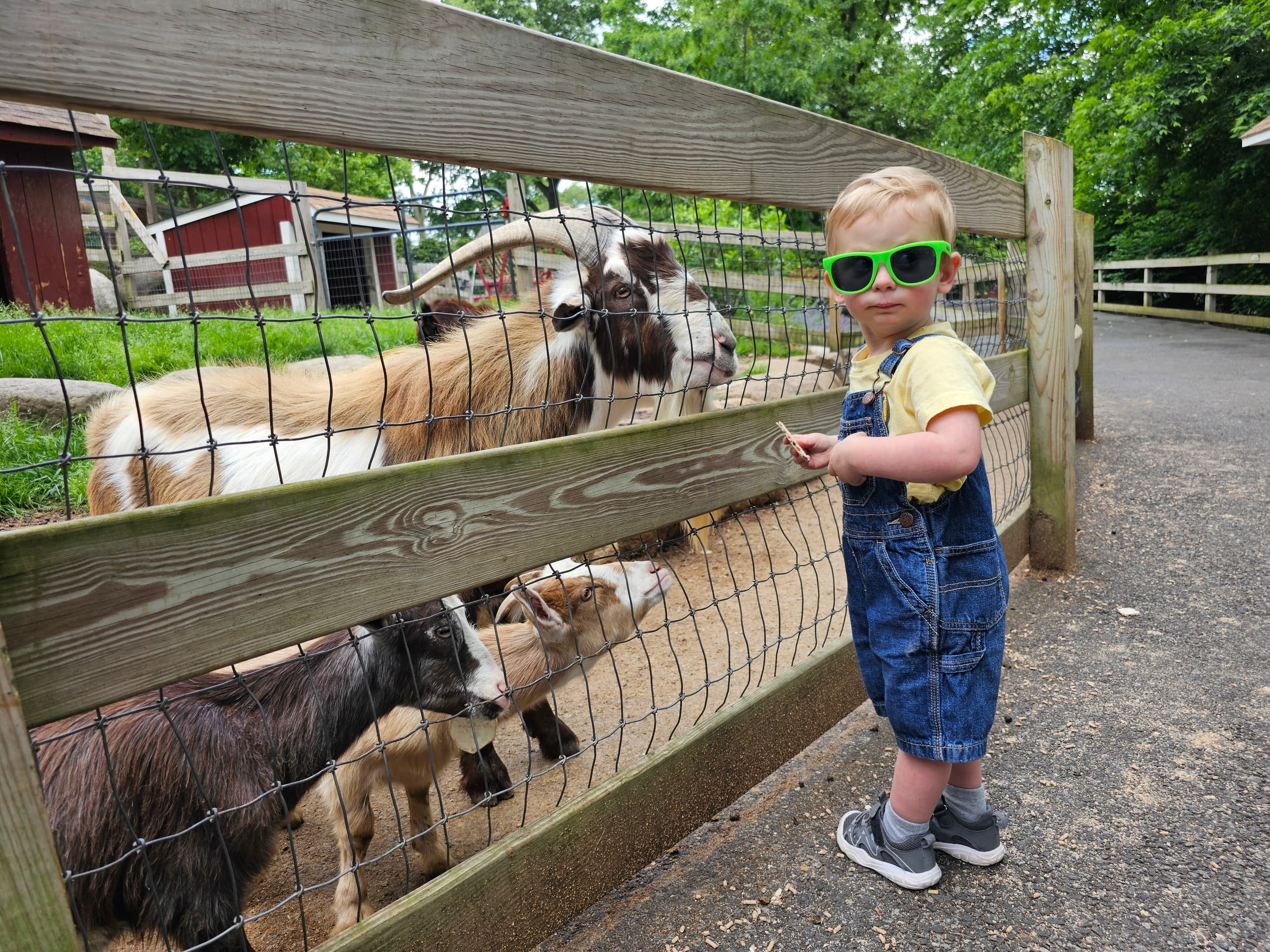 School's Out For Summer Bash at Abma's Farm, Wyckoff