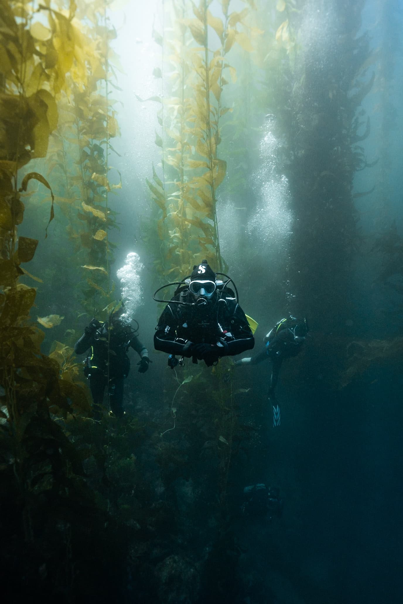 Catalina Island Boat SCUBA Experience from San Diego