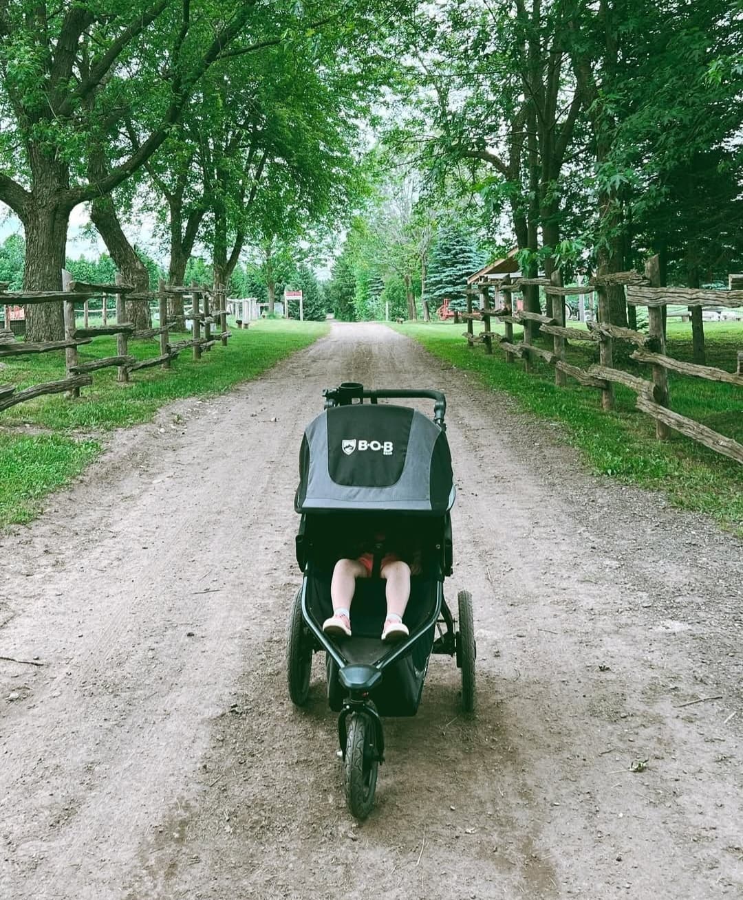 Experience Stroller Squad Fridays at Erin Hill Acres: Family Fun on Scenic Farm Trails