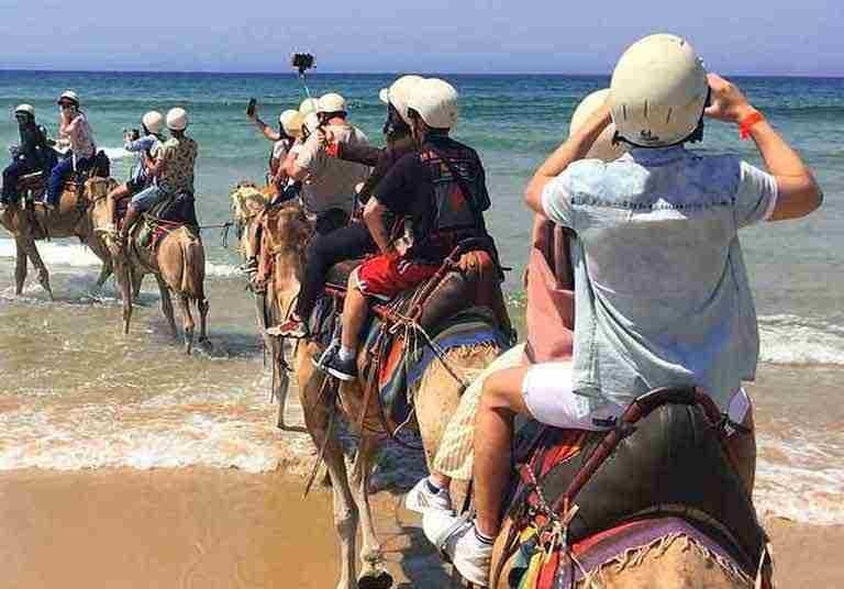 Port Stephens Dune Adventure: Camel Rides, 4WD & Sandboarding Day Tour photo 2