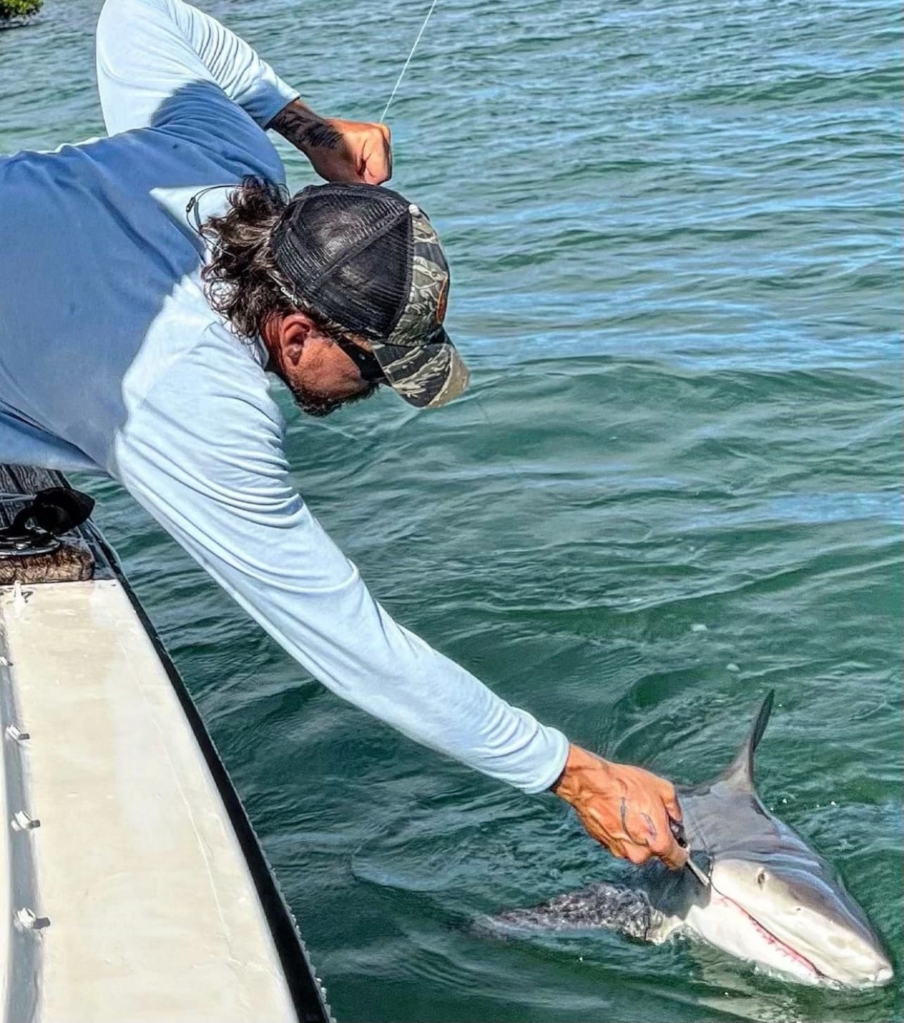 Fisherman releasing small shark from boat in coastal waters