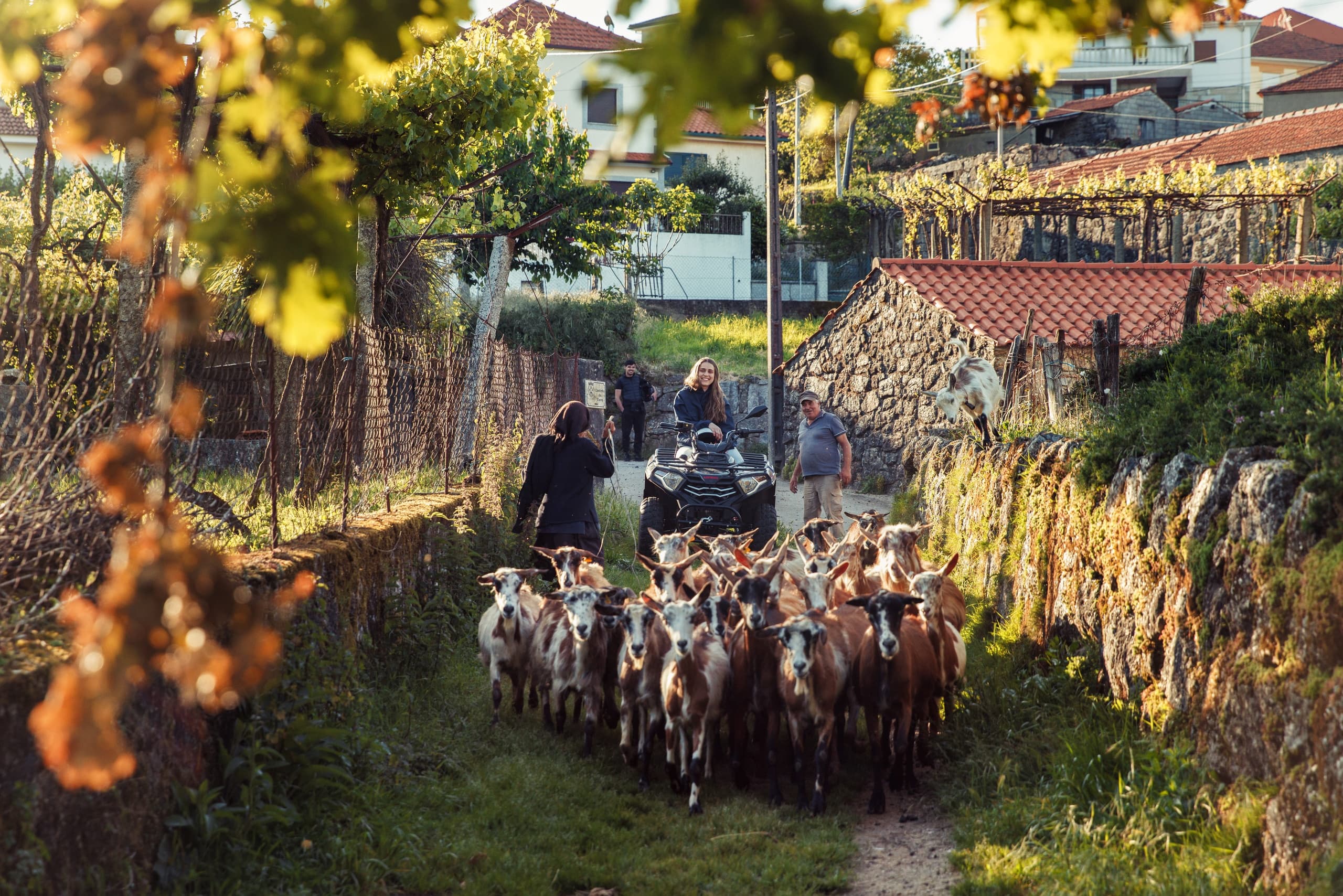Medieval Quad Adventure in Prozelo with ARCOS TOUR