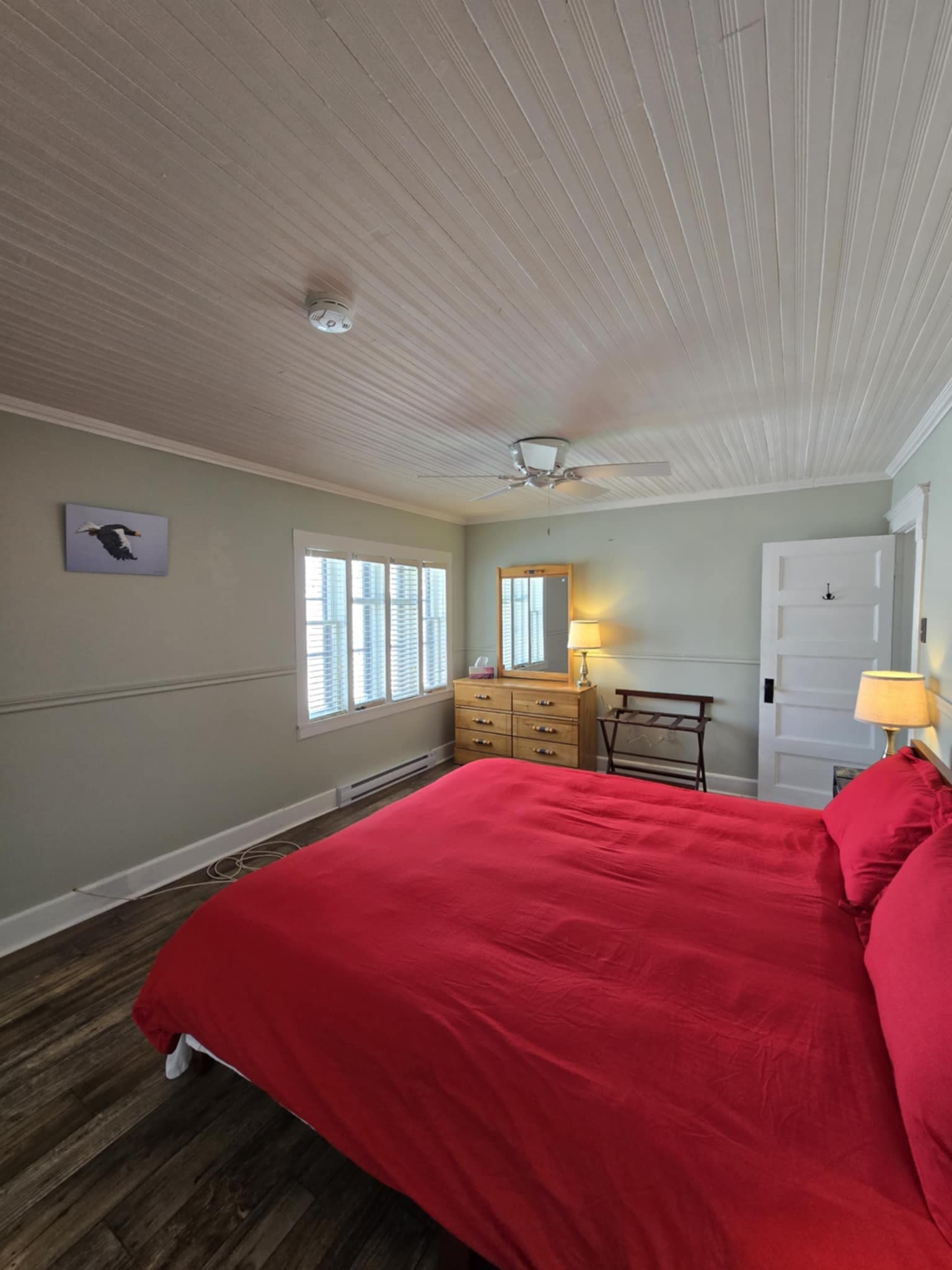 Luxury Birdwatching Stay with Trinity Eco-Tours in Trinity Bay