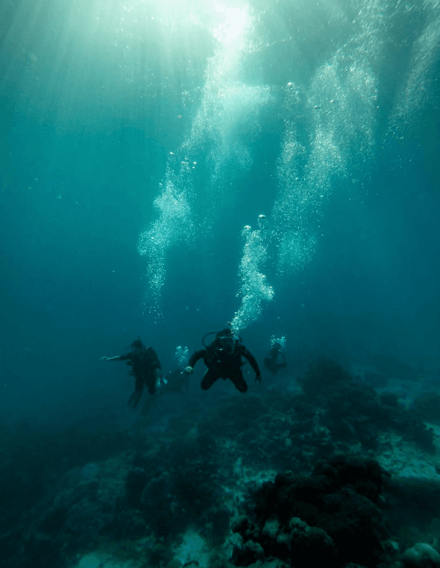PADI Rescue Diver Course in Tarifa — Become a Safer Diver on the Strait of Gibraltar photo 1