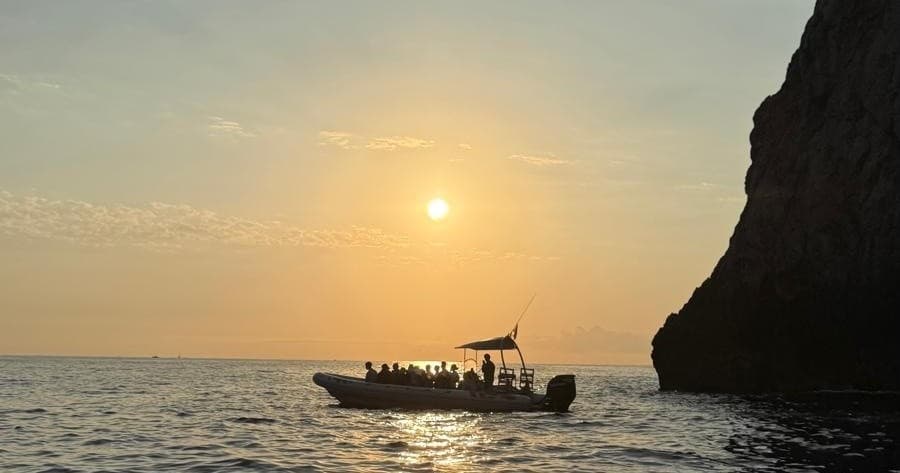Wild Dolphin Exclusive: Semi-Private Dolphin Watching & Swim at Es Coll Baix, Alcudia photo 3
