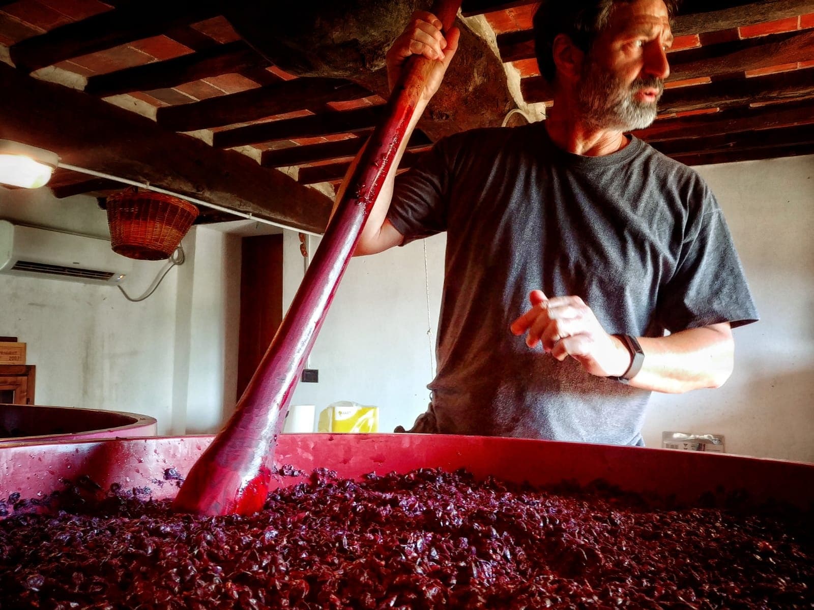 Wine Tasting & Heritage Tour at Lucca
