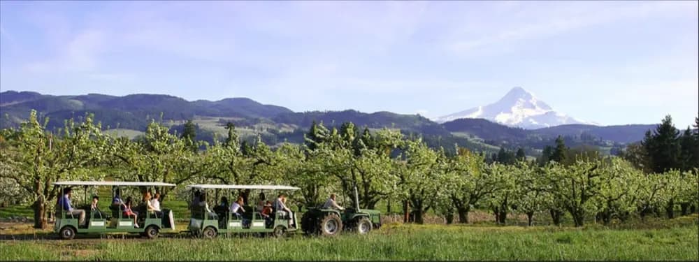 Tractor Tram & Tasting: The Fruit Company Orchard Tour in Hood River photo 2