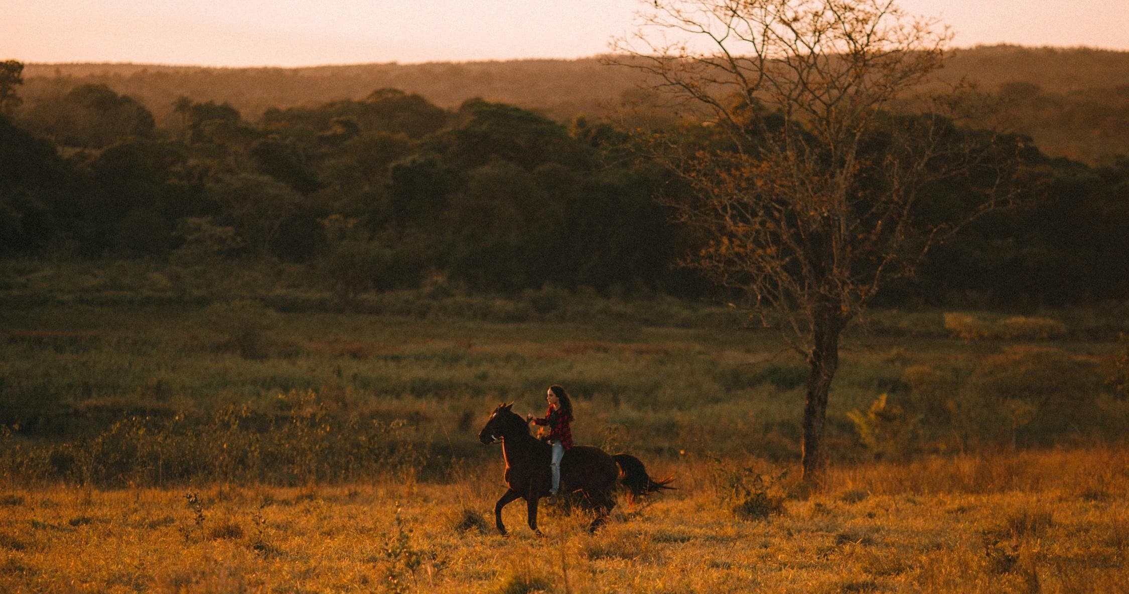 Sunset horseback ride across open savannah landscape