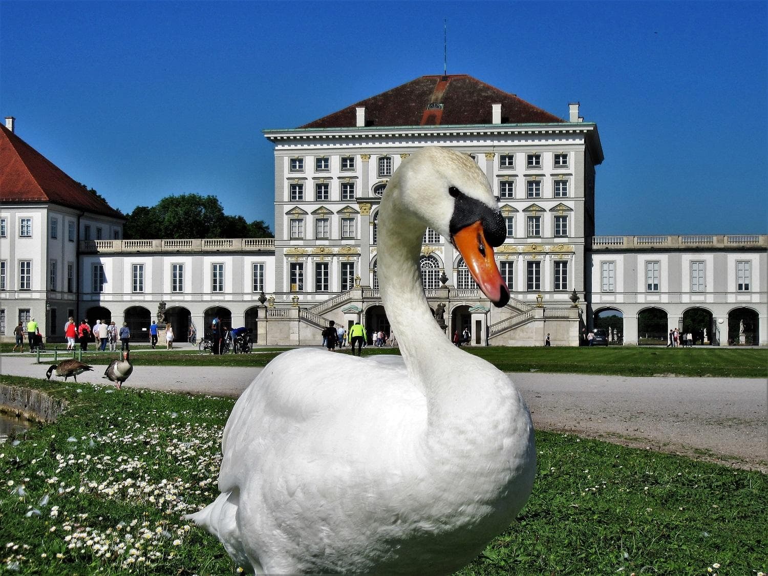 Royal Bavaria Highlights with Special Private Tours