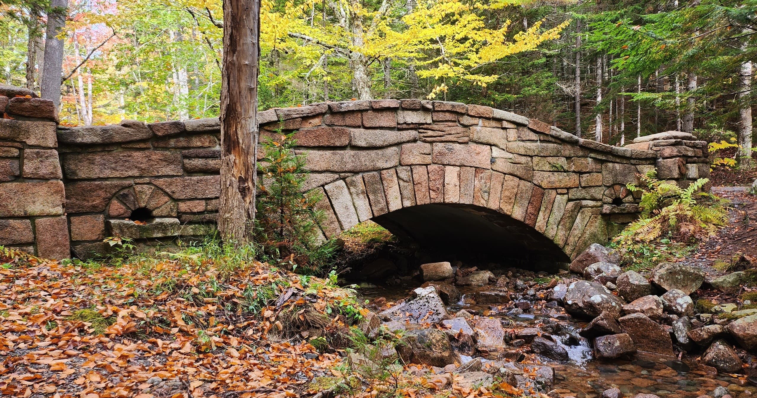 Scenic Rockefeller Bridges E-Bike Tour in Bar Harbor, Maine