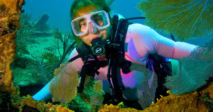 Scuba diver framed by colorful coral exploring shallow reef