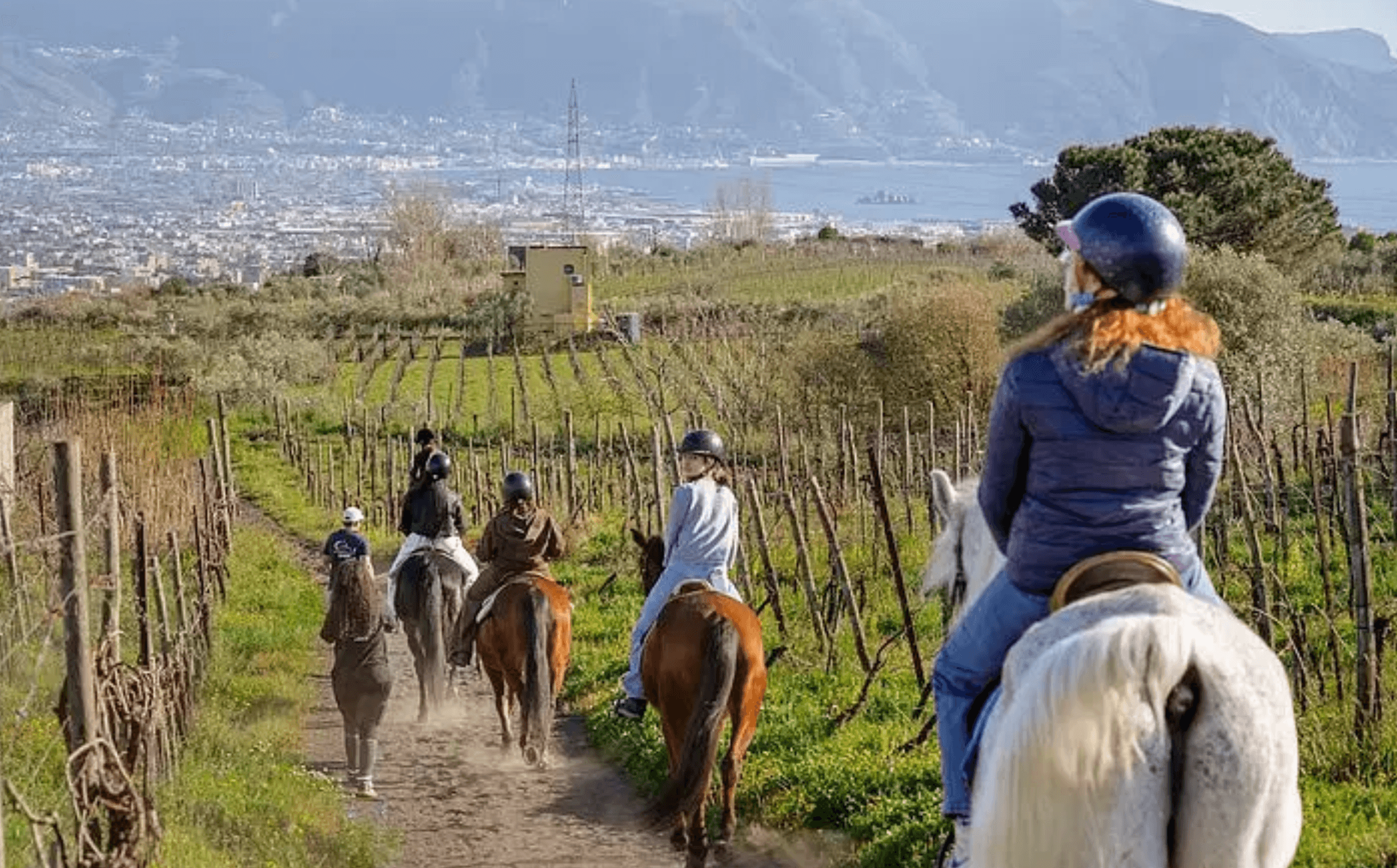 Historical Land-Adventures at Pompei with Horses and Wine