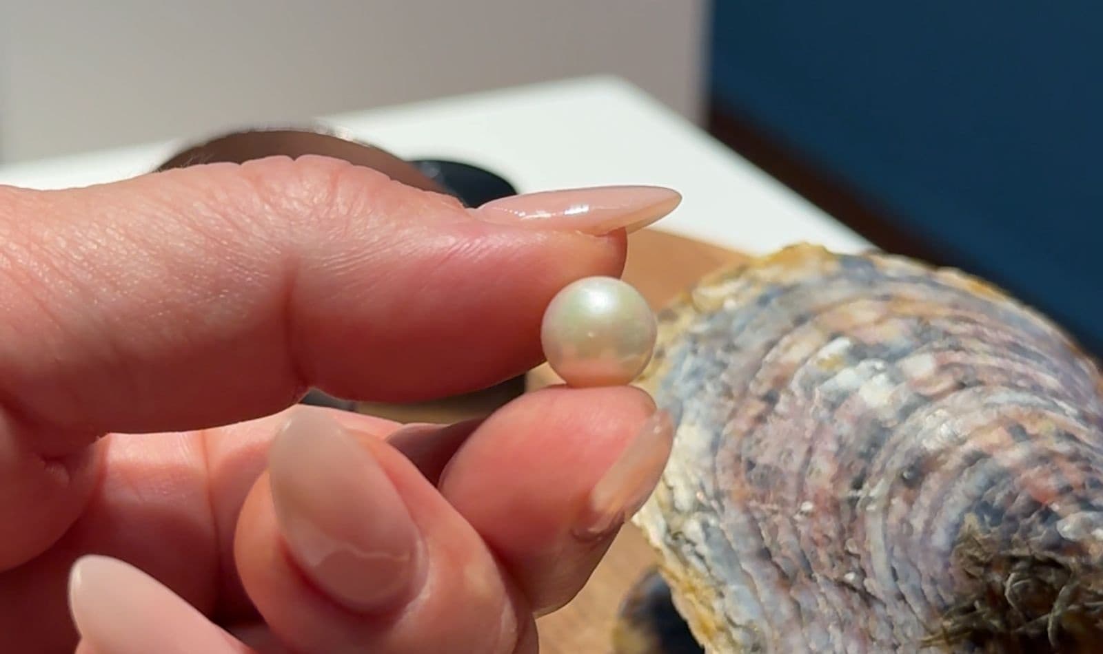 Freshwater Pearl Fishing at Tenerife Perla in Armeñime