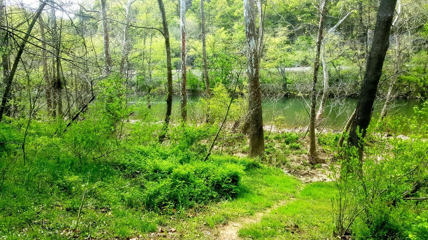 Arcadia Campground in Buchanan, VA: Riverside Tent Camping for Nature Lovers