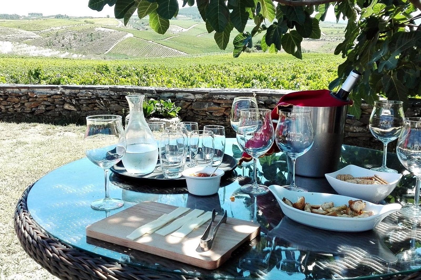 Douro Valley Wine Tours with Your Tours in Porto